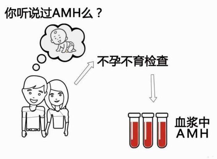 AMH检测